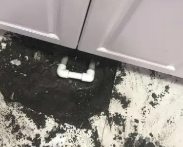 札达查漏水哪家好